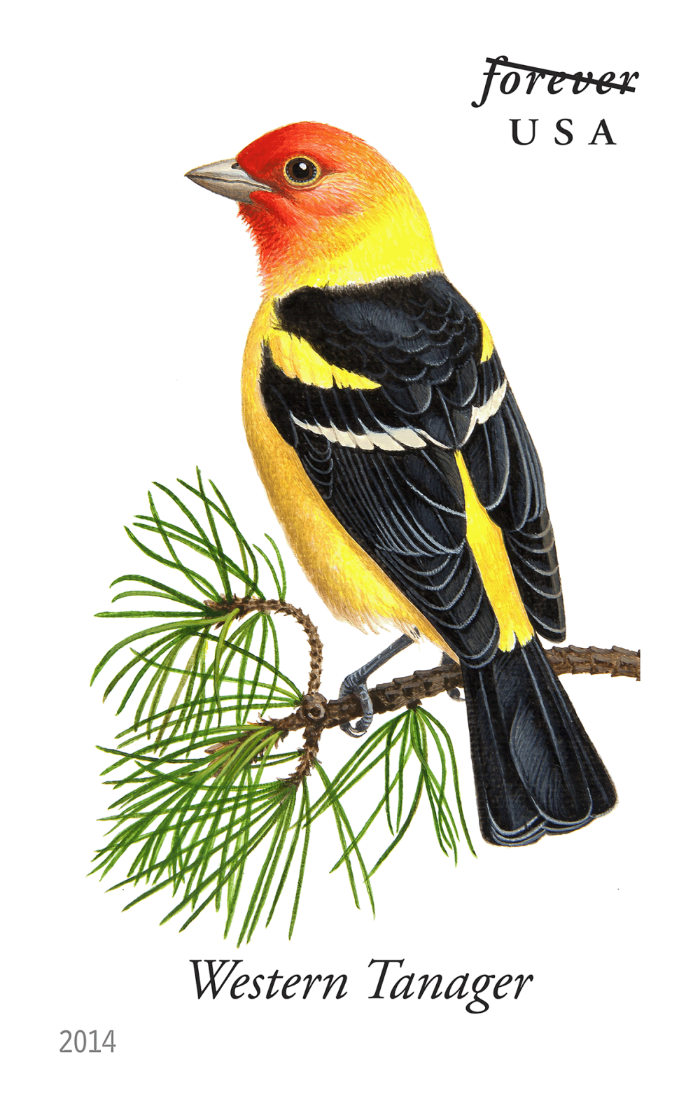 2014 Song Birds Stamps - Forever Stamps