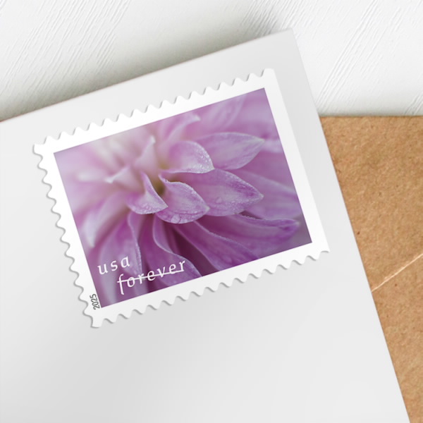 2025 Forever Stamps Dahlias Stamps - Forever Stamps