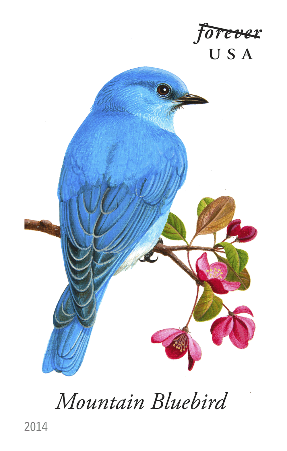 2014 Song Birds Stamps - Forever Stamps
