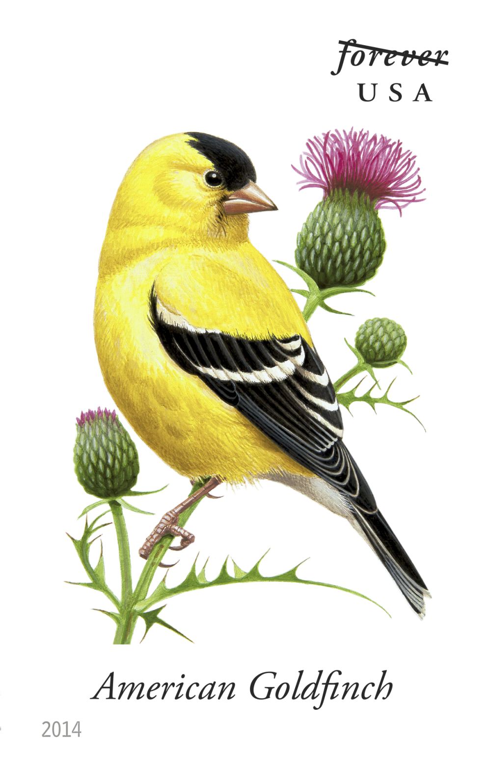 2014 Song Birds Stamps - Forever Stamps