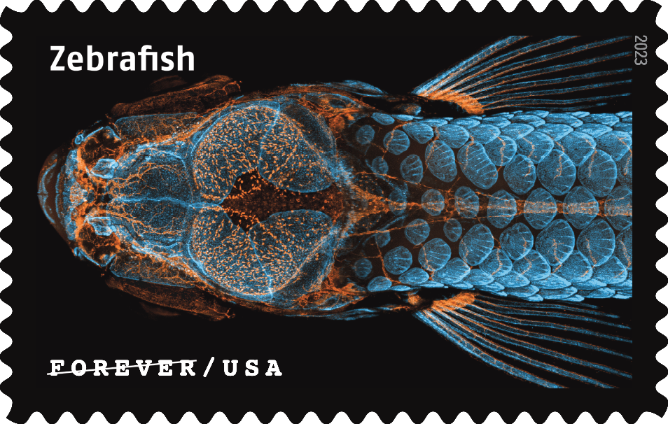 2023 Life Magnified Stamps - Forever Stamps