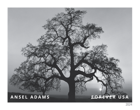 2024 Ansel Adams Stamps - Forever Stamps