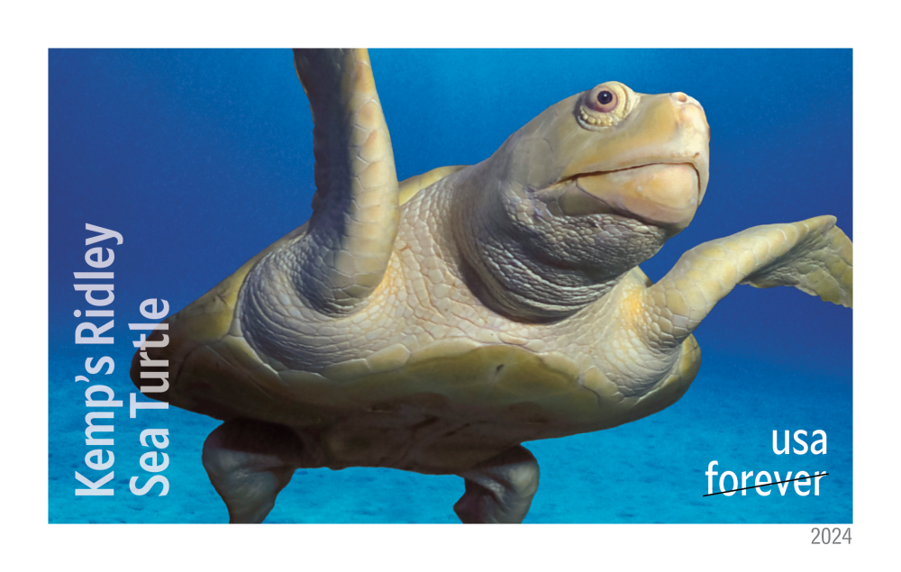 2024 Protect Sea Turtles Stamps - Forever Stamps