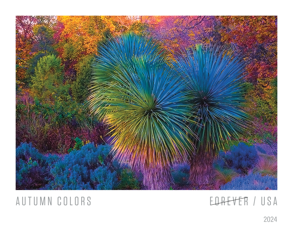2024 Autumn Colors Stamps - Forever Stamps
