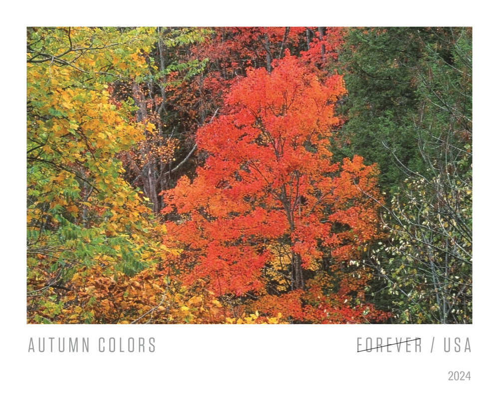 2024 Autumn Colors Stamps - Forever Stamps