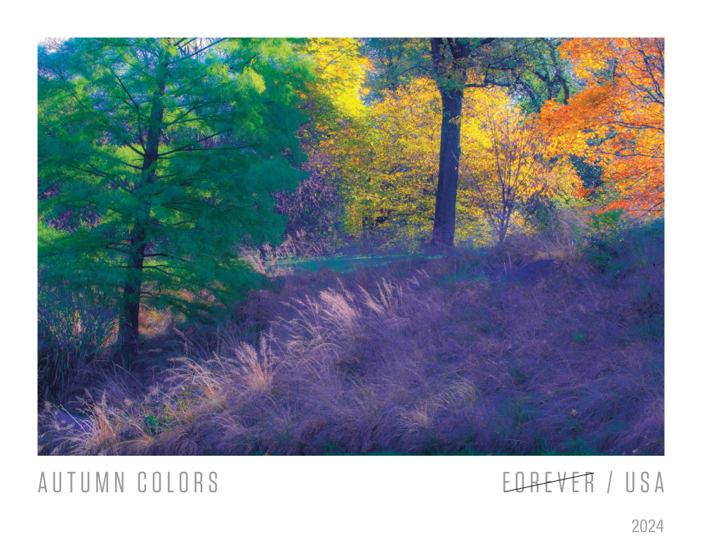2024 Autumn Colors Stamps - Forever Stamps
